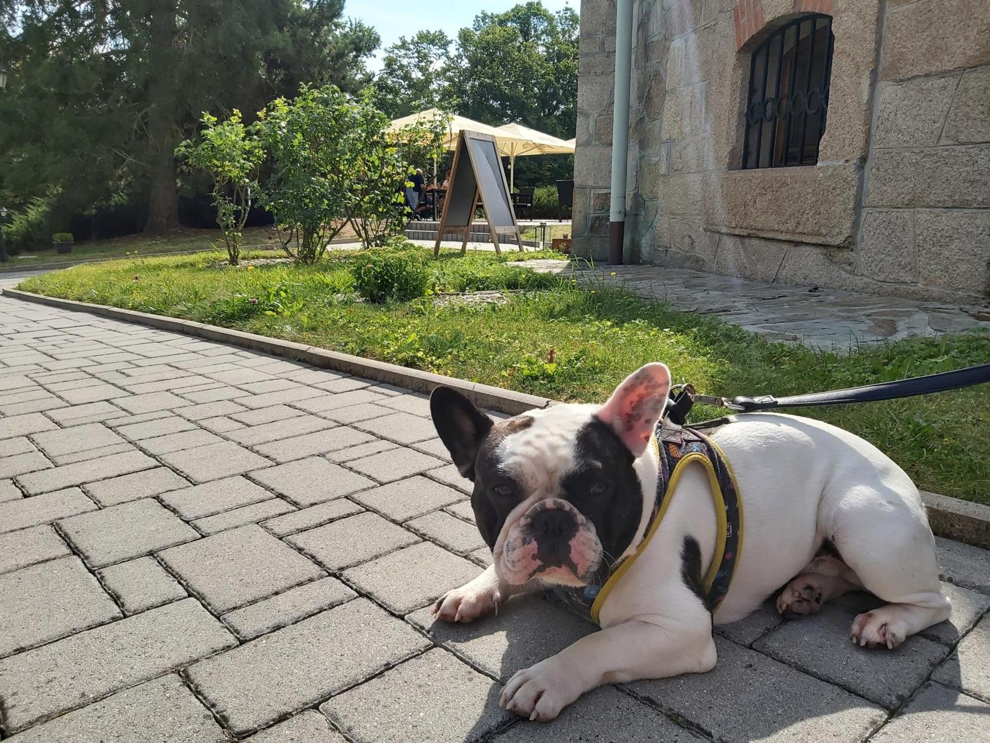 Hotel Chateau Cihelny 卡罗维发利 外观 照片